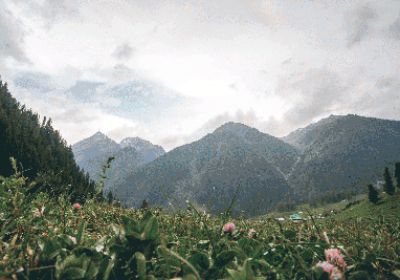 Gurez with Srinagar – 5N/6D