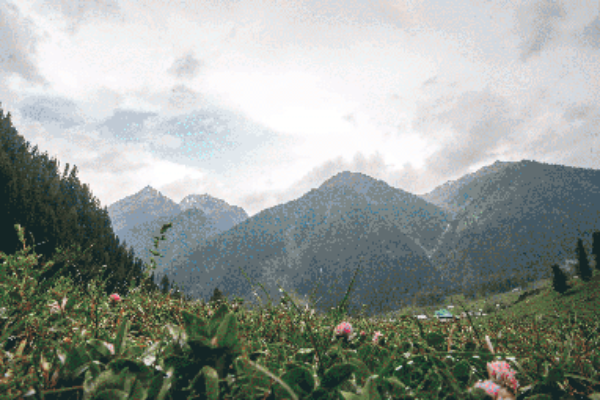 Gurez with Srinagar – 5N/6D