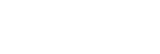 Basiva – Top Tour and Travel Operator in Kashmir