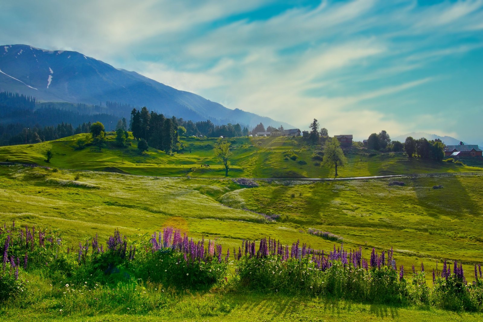 Gulmarg